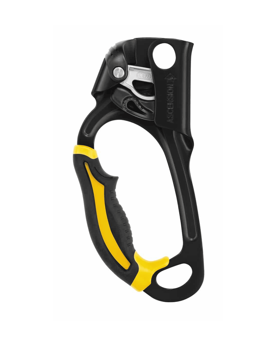 PETZL ASCENSION