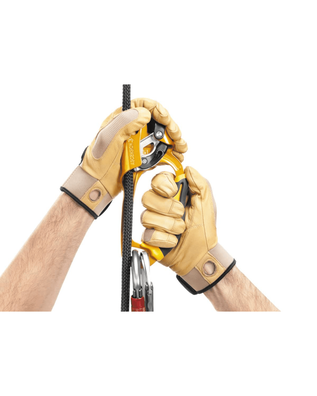 PETZL ASCENSION