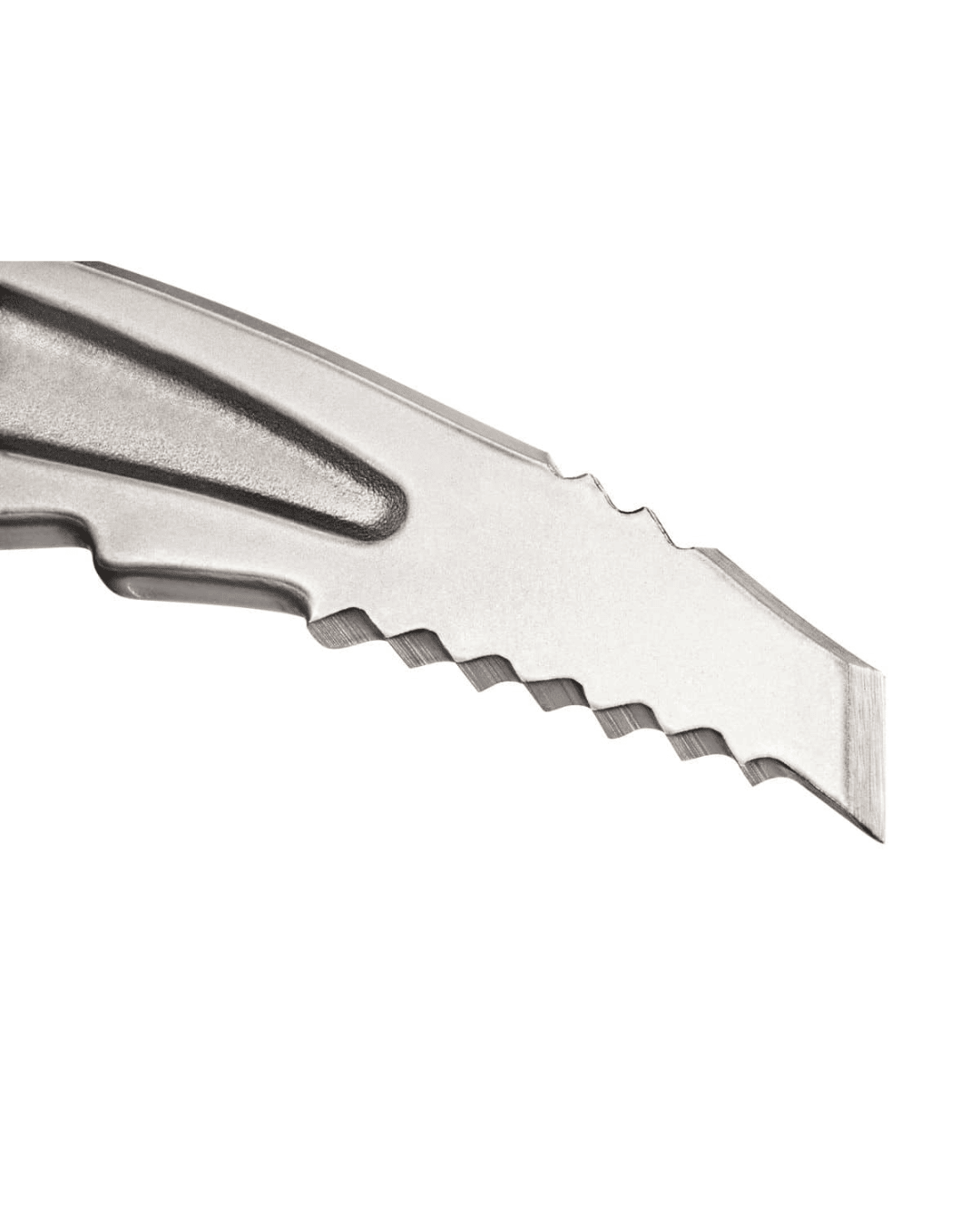 PETZL SUMMIT EVO
